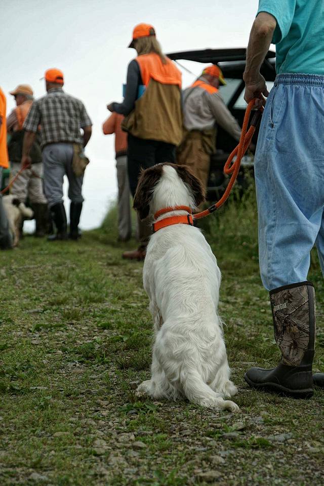 A dog on a leash sits attentively next to a person in jeans and cowboy boots, with a group of hunters in orange caps gathering in the background.