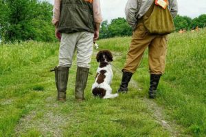 Two people in outdoor gear and rubber boots standing in a field with a brown and white dog sitting between them, facing away.