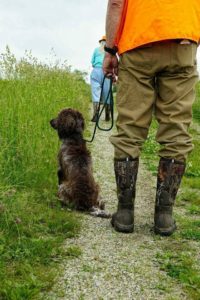 A small brown dog on a leash sits on a gravel path, looking up at a man dressed in outdoor clothing and camouflage boots, with another person visible in the background.
