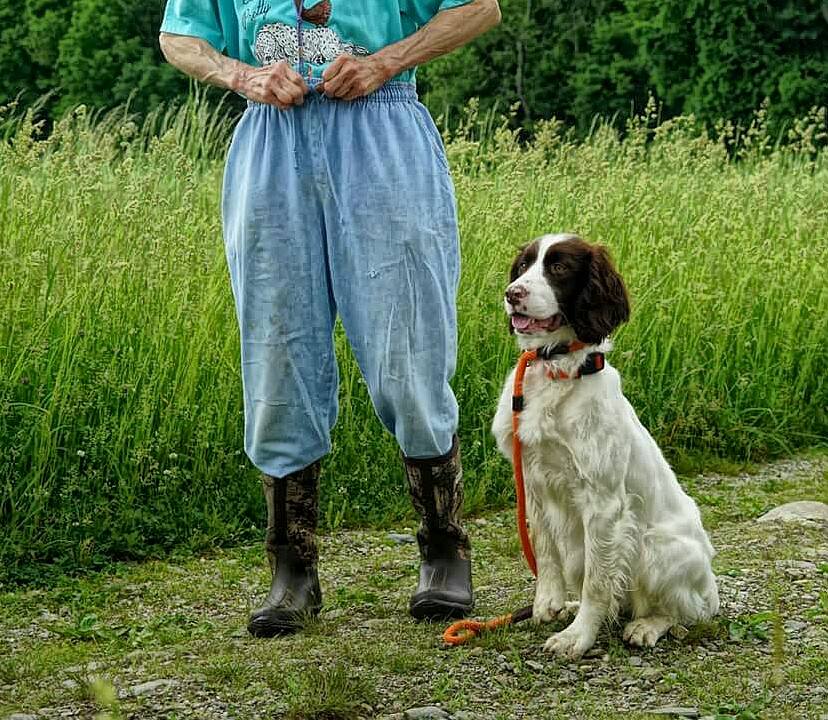 An elderly person in overalls and boots stands with a leashed springer spaniel in a grassy field.