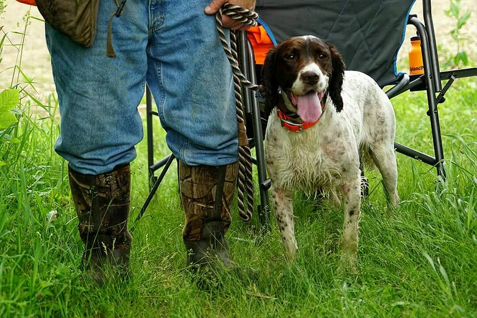 A dog stands in grass between two people in jeans and camouflage boots, with one person holding a leash. a camping chair is visible in the background.