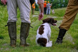A dog sits on grass between two people wearing rubber boots, with a group of people in the background.