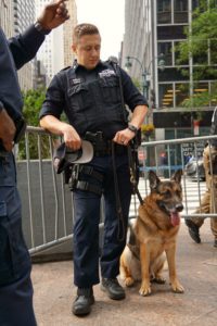 A police officer and his k9 partner standing on a city street, with the officer adjusting the dog's harness.