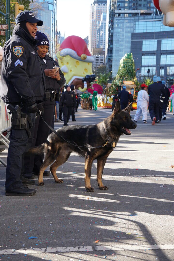 Nypd officers with a police dog monitoring a parade, with large festive balloons and crowds in the background.