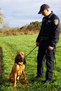 A police officer in uniform stands next to a sitting bloodhound on a grassy field, holding the dog's leash, with trees and a cloudy sky in the background.