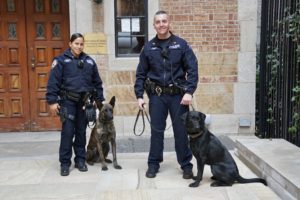 Two police officers, one male and one female, stand beside two police dogs in front of a brick building.
