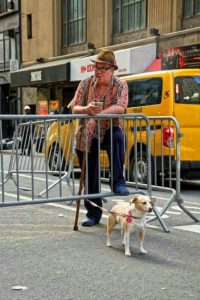 A man in a patterned shirt and hat checks his phone while sitting on a metal barrier in a city street, with a small dog on a leash beside him.