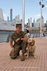 A smiling marine in uniform sitting and interacting with a happy dog on a leash, with a city skyline and ship in the background.