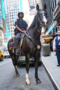 Police officer riding a police horse