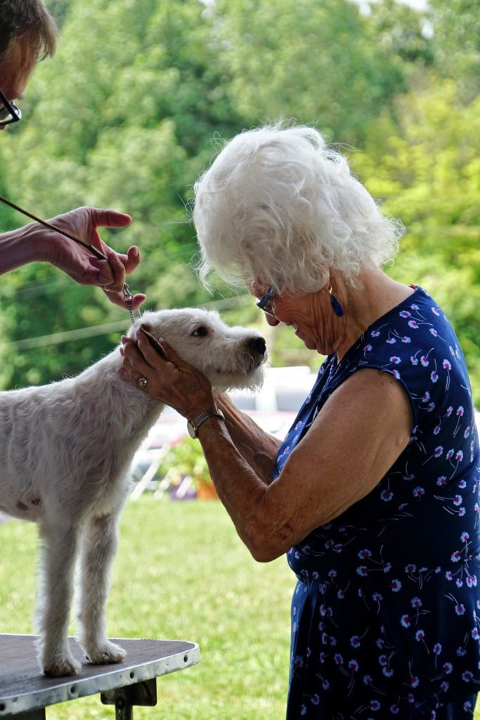 White-haired woman wearing a blue dressed holding up the head of a white-furred Terrier