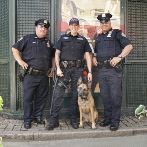 Three police officers posing with a German Shepard police dog