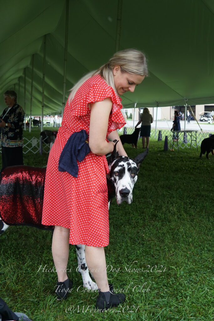 Woman in a red dress petting a black-and-white spotted Great Dane dog on the head