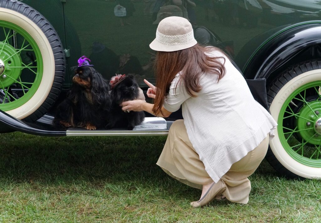 A woman with two small black dogs