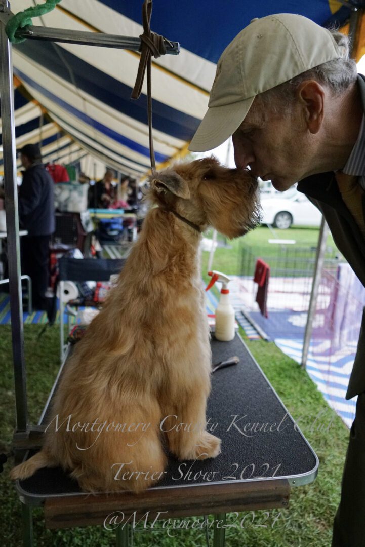 An old man kissing his Terrier dog