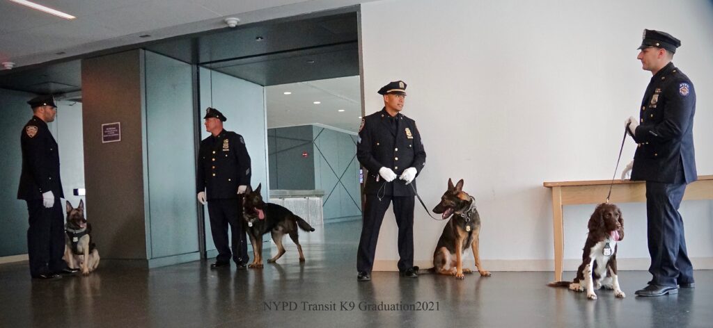 Four police officers during the graduation day of their K9 partners