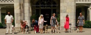 Six women and a man with seven dogs