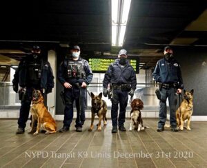 Four NYPD transit K9 units in a subway