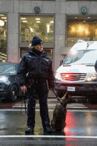 An alert NYPD officer with the K9