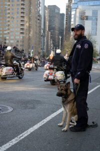 A police officer and his dog watching the parade