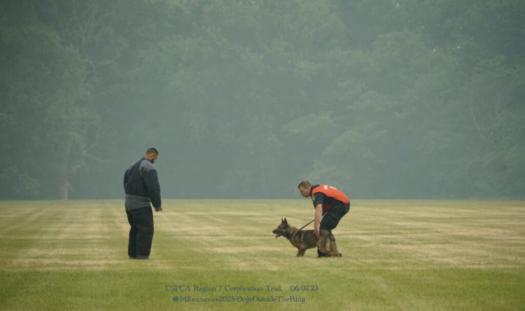Two Men Holding the Leash of a Dog on a Field