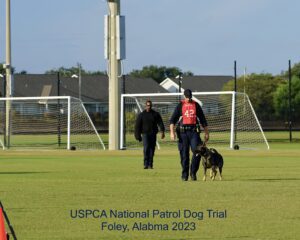 Two men and a patrol dog at the uspca national patrol dog trial in foley, alabama, 2023, walking across a soccer field.