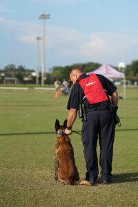 A police officer in a red vest stands with a trained german shepherd on a grassy field, both looking away from the camera.