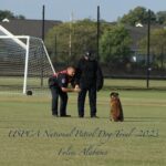 Two police officers and a dog at the uspca national patrol dog trial 2023 in foley, alabama, one officer squatting and speaking with the other standing.