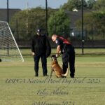 Two police officers and a dog training on a grassy field during the uspca national patrol dog trial 2023 in foley, alabama.