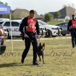 A man wearing a "uspca region 22" jacket walks a german shepherd on a leash at a dog trial event in foley, alabama. police cars are parked in the background.