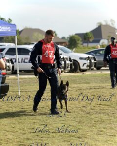 A man wearing a "uspca region 22" jacket walks a german shepherd on a leash at a dog trial event in foley, alabama. police cars are parked in the background.