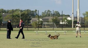 Two men and a dog on a grassy field during a training session, with a third man observing and taking notes, clear blue sky in the background.