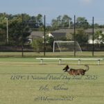 Two men and a dog on a grassy field at the uspca national patrol dog trial 2023 in foley, alabama. one man is interacting with the dog, while the other observes.