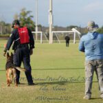 A police officer with a dog at a patrol dog trial event, standing facing another person in a field marked with cones.