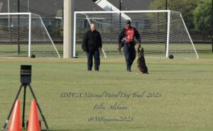 Two people and a german shepherd on a grassy field with soccer goals in the background, during the uspca national patrol dog trial 2023 in foley, alabama.