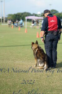 A police officer and a german shepherd at the uspca national patrol dog trials in 2023, both focused and ready, with other participants in the background.