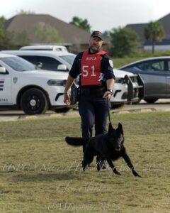 A uspca officer in a red "51" vest walks with a black dog with police cars in the background during a demonstration.