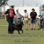 A police officer and his black dog during the uspca national patrol dog trial 2023 in foley, alabama, walking on a grassy field with spectators in the background.