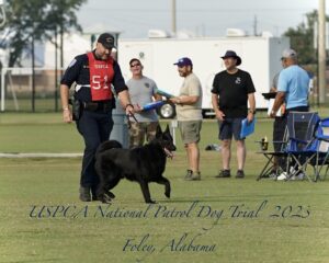 A police officer and his black dog during the uspca national patrol dog trial 2023 in foley, alabama, walking on a grassy field with spectators in the background.