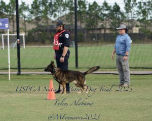 A police officer and a german shepherd dog at a demonstration, with a man observing them, at the uspca national patrol dog trial 2023 in foley, alabama.