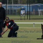 Two police officers, one kneeling and one standing, with a german shepherd lying on a grassy field during a k9 unit trial.