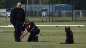 Two police officers, one kneeling and one standing, with a german shepherd lying on a grassy field during a k9 unit trial.