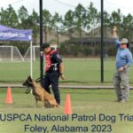 A handler in a red uniform with dog number 2 and a leashed german shepherd at a dog trial, with an official in blue signaling, text overlay about the uspca national patrol dog trial in alabama 2023.