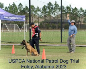 A handler in a red uniform with dog number 2 and a leashed german shepherd at a dog trial, with an official in blue signaling, text overlay about the uspca national patrol dog trial in alabama 2023.