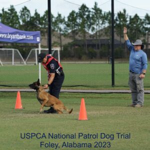 A handler in a red and black uniform interacts with a belgian malinois during a training exercise at the uspca national patrol dog trial in foley, alabama, 2023. another man observes.