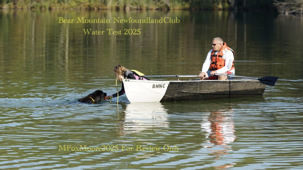 Bear Mountain Newfoundland Club Water Test 2025